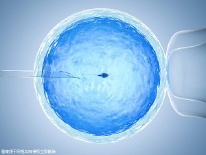 三代试管生男孩